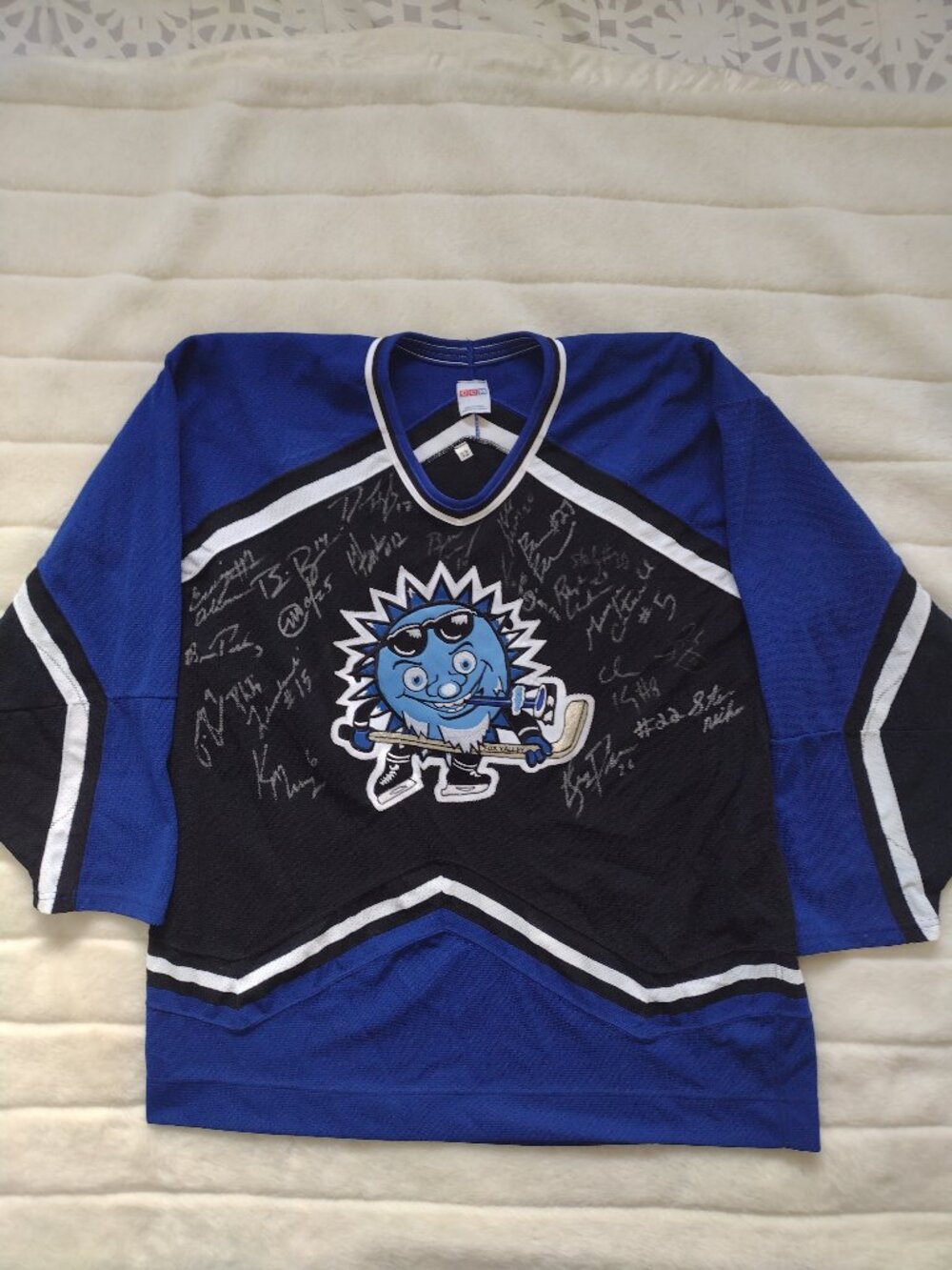 Vintage CCM Men's Chicago Freeze Hockey Jersey L 52 Signatures Autographed Rare